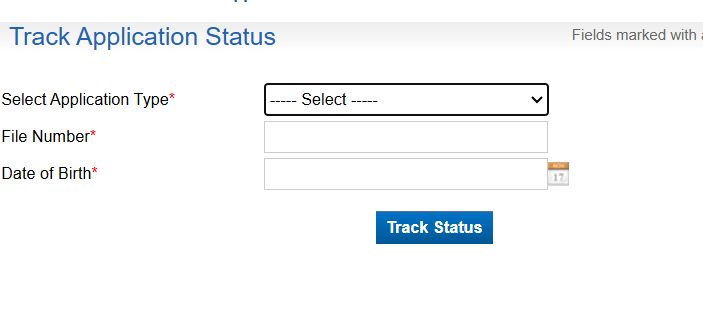 screen showing option to check police verification status by entering application type, file number and date of birth